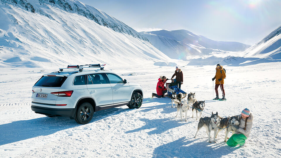 Skoda Connect Standheizung